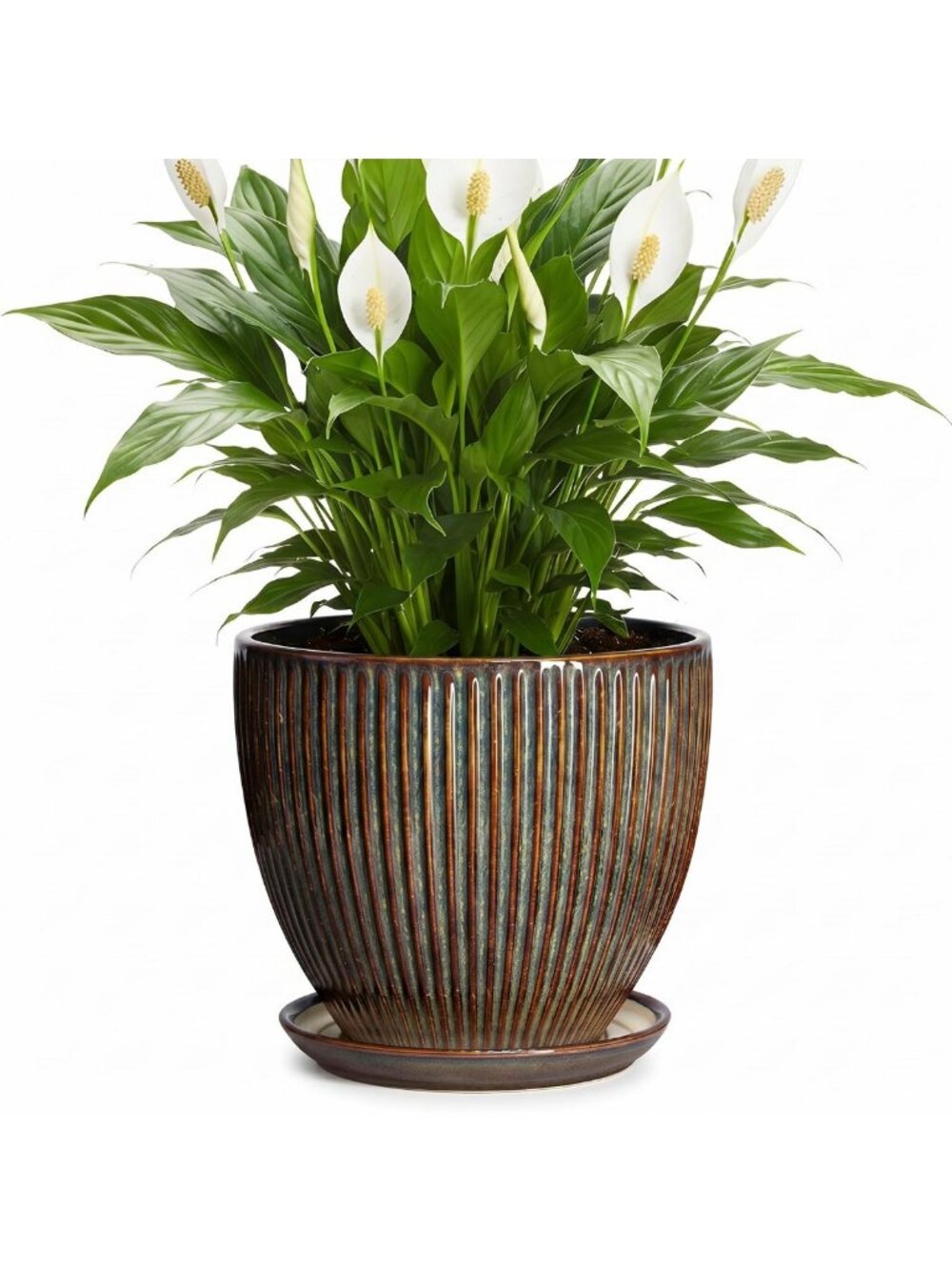 8-Inch Ceramic Planter with Drainage Hole & Saucer - Modern Indoor Flower Pot